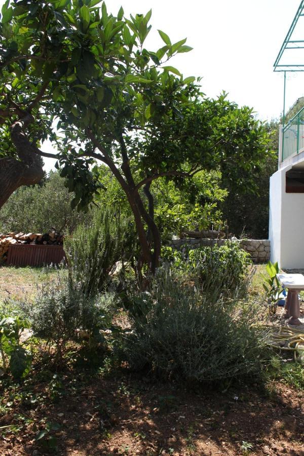 Apartments And Rooms With Parking Space Gradac, Makarska - 6819 Gradac  Εξωτερικό φωτογραφία